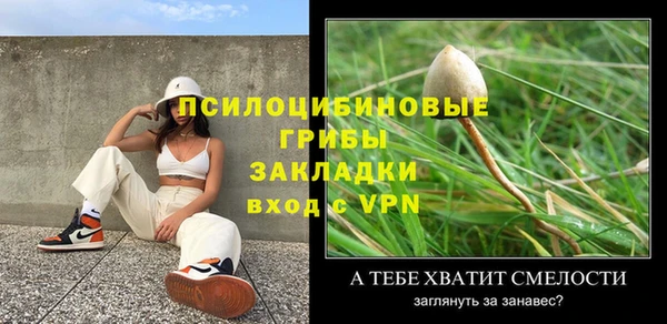 крисы Зерноград