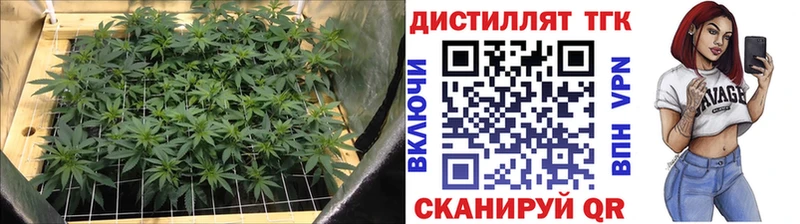 Купить  Юхнов  ТГК вейп с тгк 