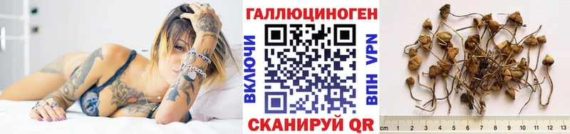 Купить где  Юхнов  Галлюциногенные грибы GOLDEN TEACHER 